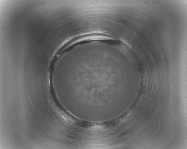 X0000066540350200603201431