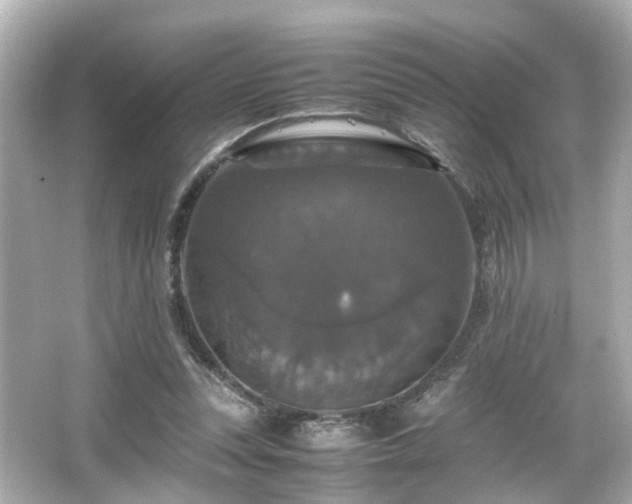 X0000066540351200603201431