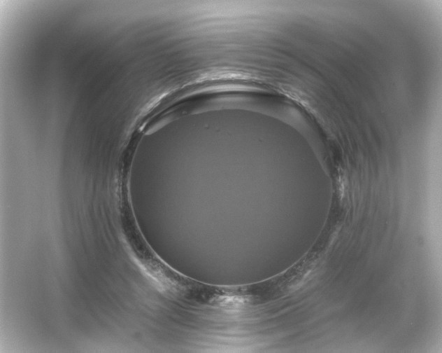 X0000066540352200603201431