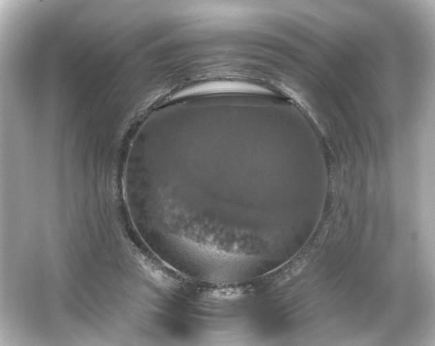 X0000066540353200603201431