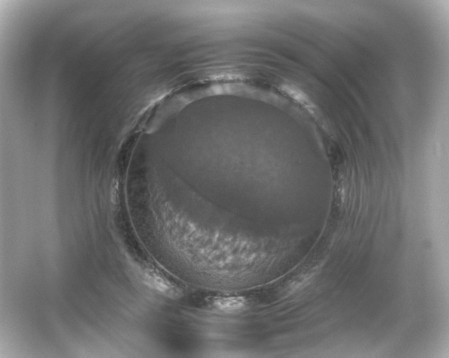 X0000066540355200603201432