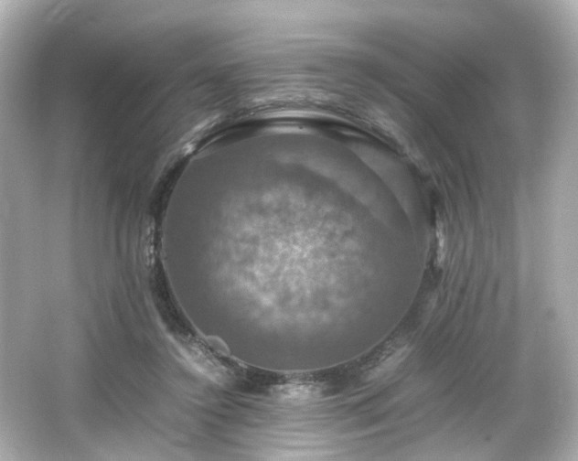 X0000066540356200603201432