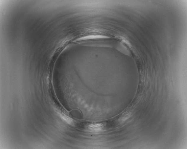 X0000066540357200603201432