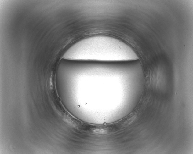 X0000066540358200603201432