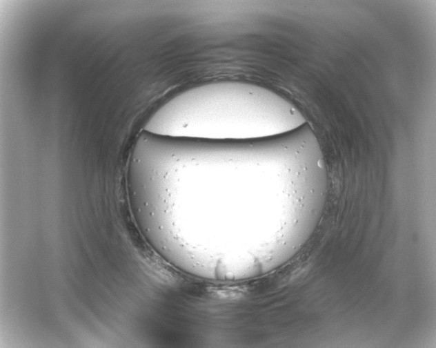 X0000066540359200603201432