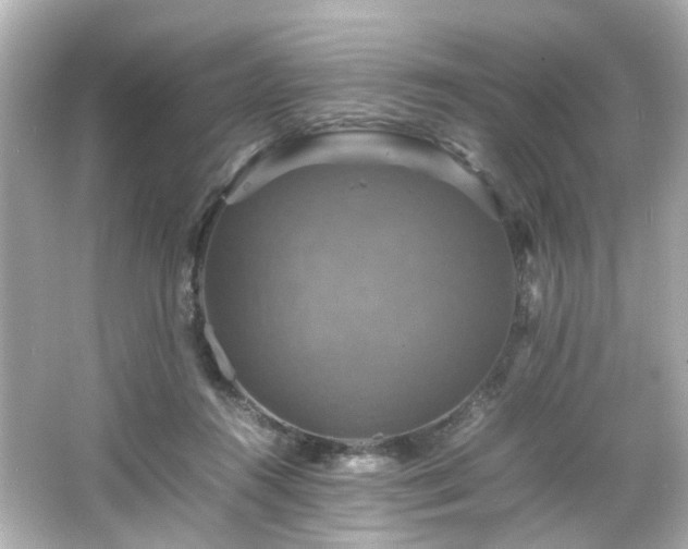 X0000066540360200603201432