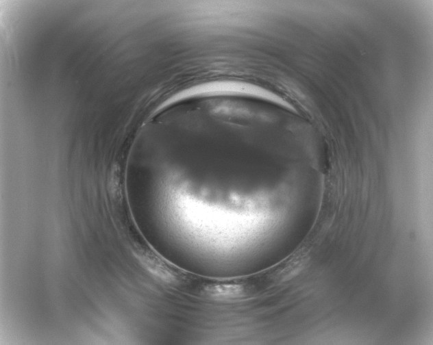 X0000066540361200603201432