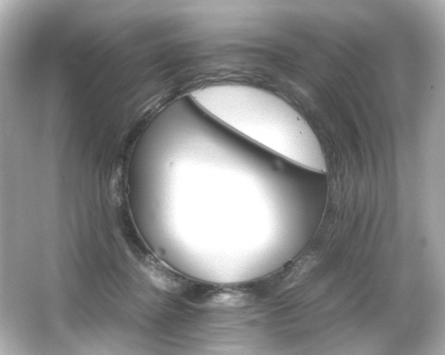 X0000066540364200603201432