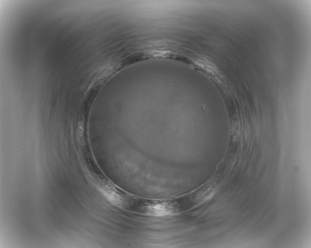 X0000066540365200603201432