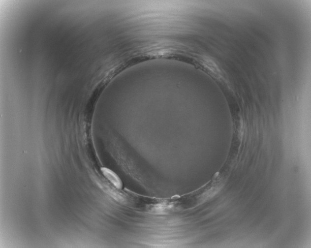 X0000066540366200603201432