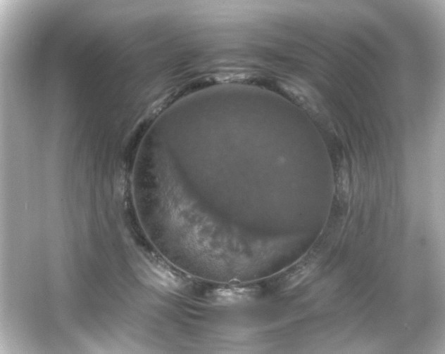 X0000066540367200603201432