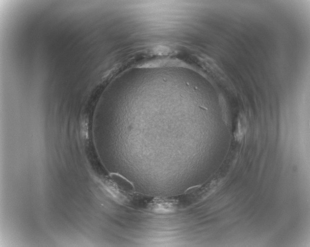 X0000066540368200603201432