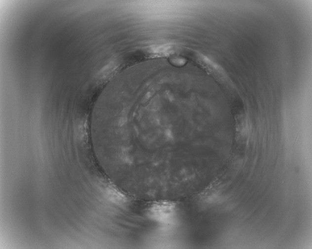 X0000066540369200603201432