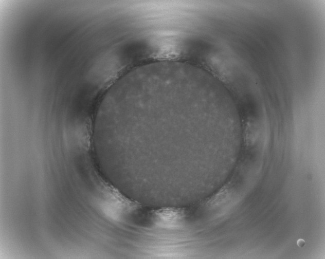 X0000066540370200603201432