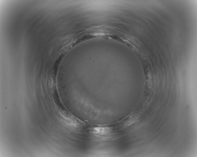 X0000066540371200603201432