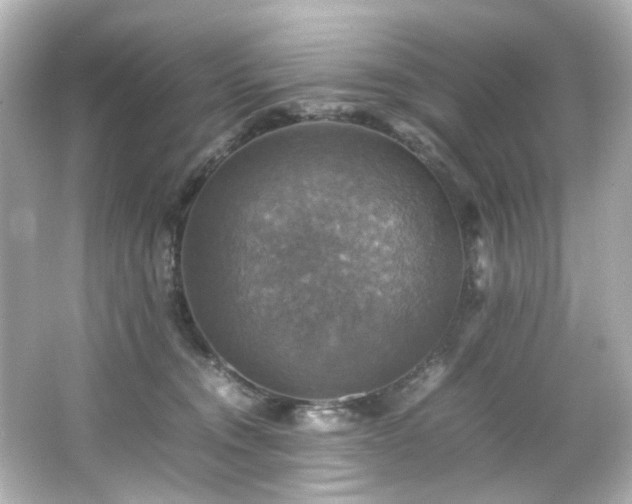 X0000066540372200603201432