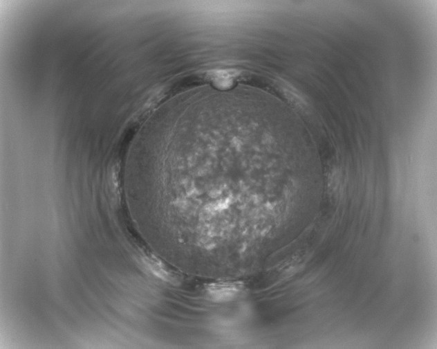 X0000066540373200603201432