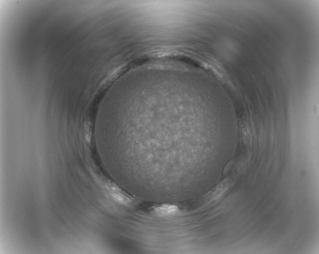 X0000066540374200603201432