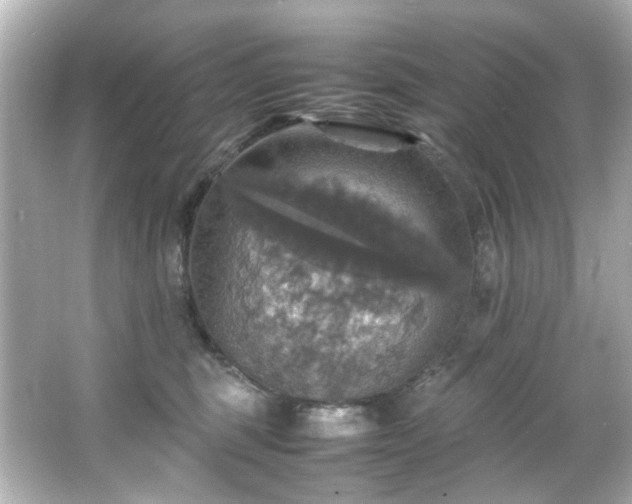 X0000066540375200603201432