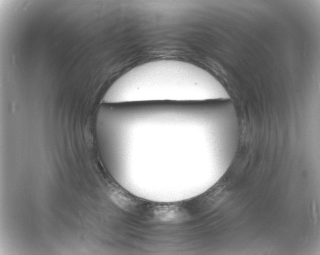 X0000066540377200603201432