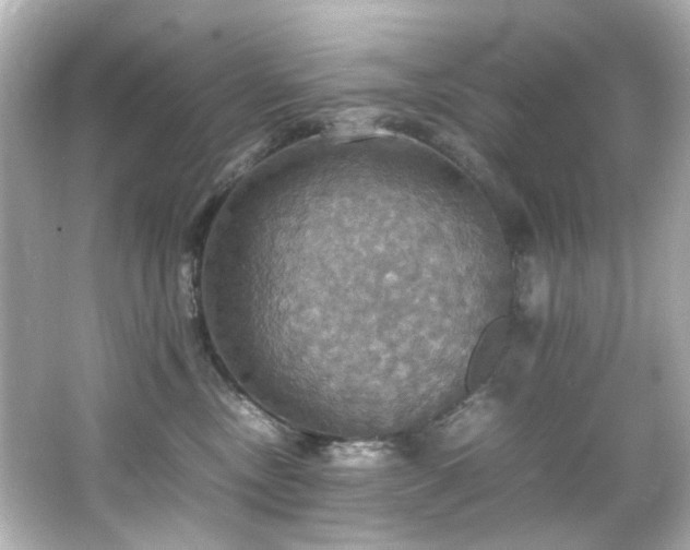 X0000066540378200603201432