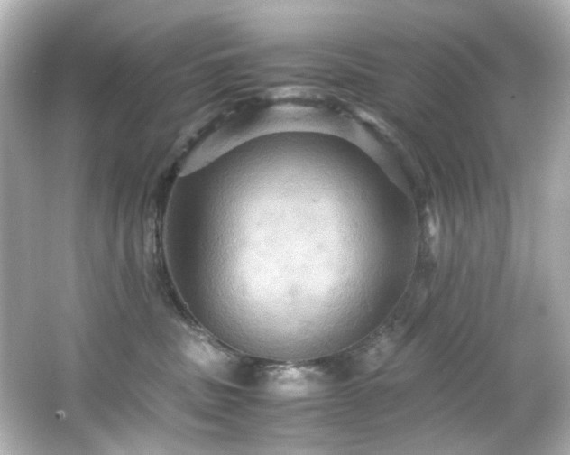 X0000066540379200603201432