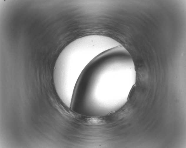 X0000066540380200603201432