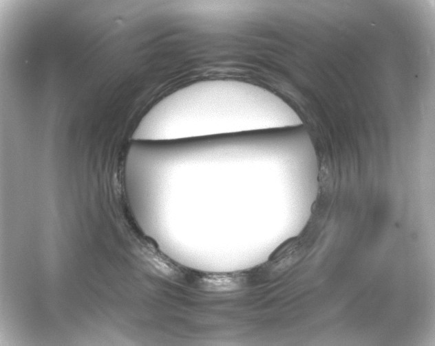 X0000066540381200603201432