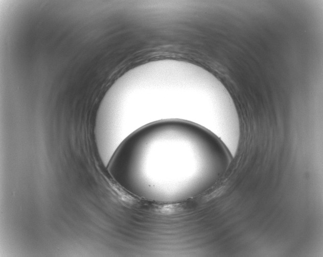 X0000066540382200603201432