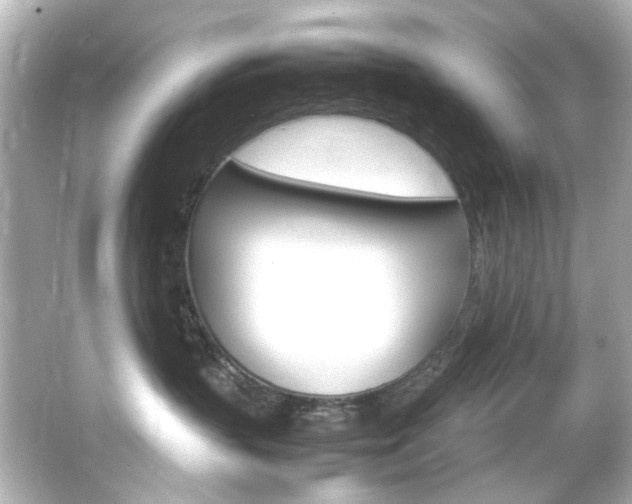 X0000066540383200603201432