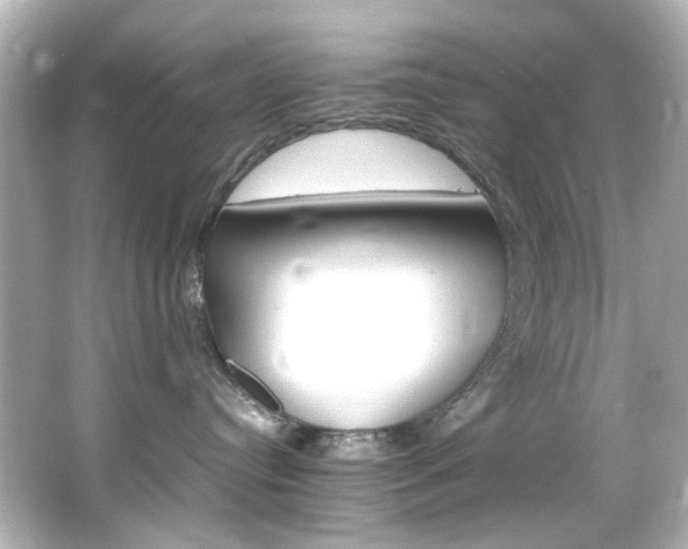 X0000066540384200603201432