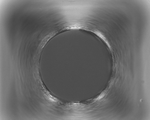 X0000066540385200603201431