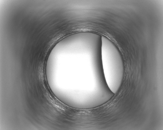 X0000066540386200603201431