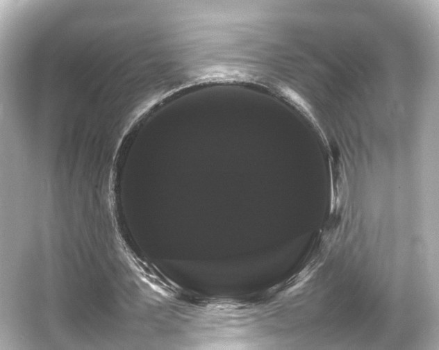 X0000066540387200603201431