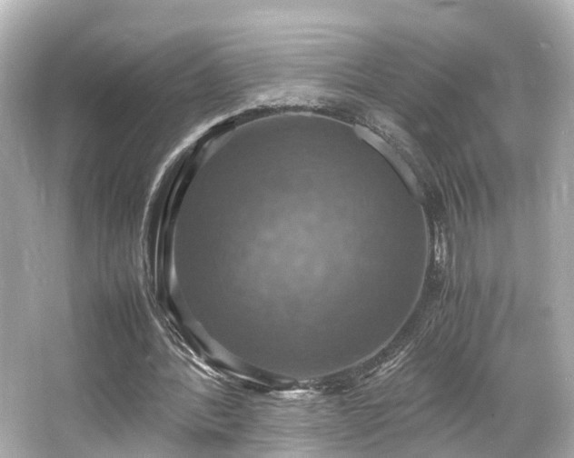 X0000066540388200603201431