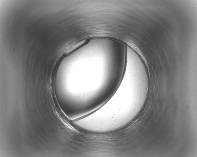 X0000066540389200603201431