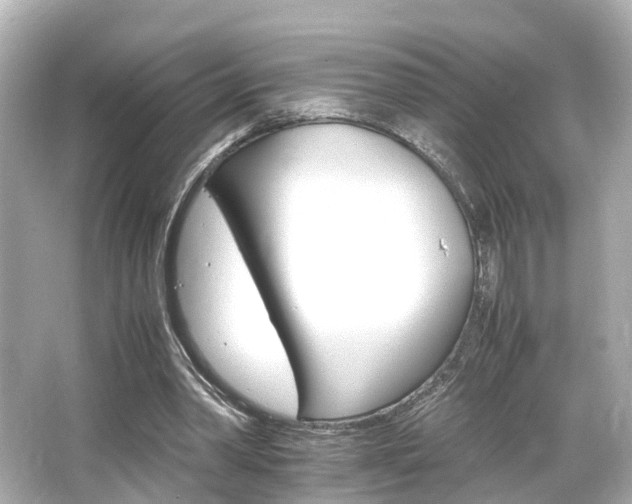 X0000066540390200603201431