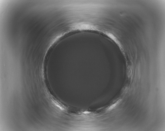 X0000066540391200603201431