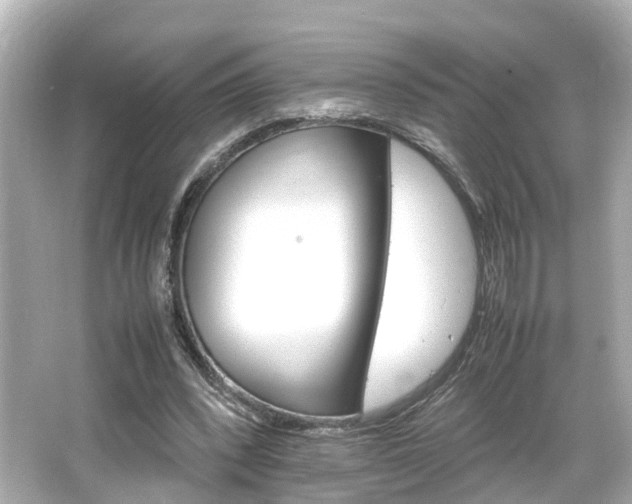 X0000066540392200603201431