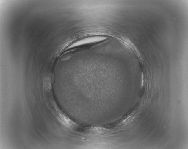 X0000066540393200603201431