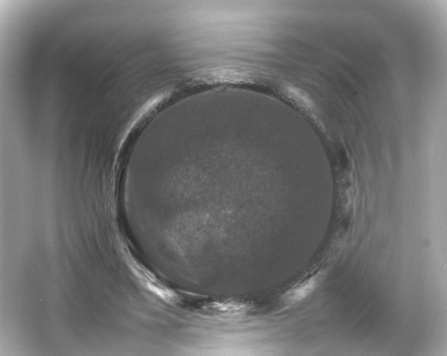 X0000066540395200603201431