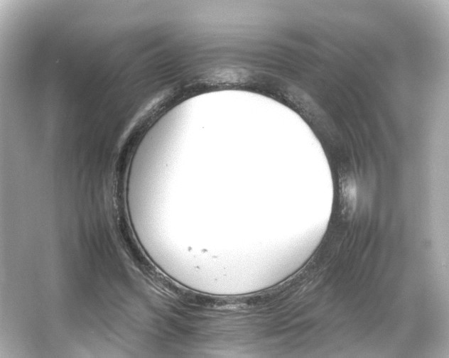 X0000066540396200603201431