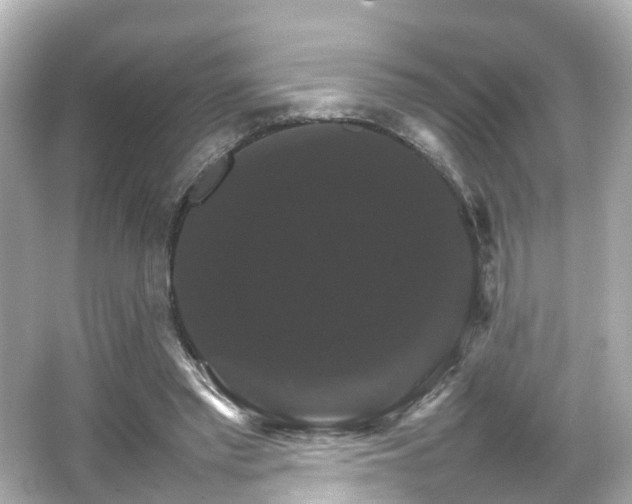 X0000066540397200603201431