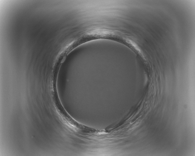 X0000066540399200603201431