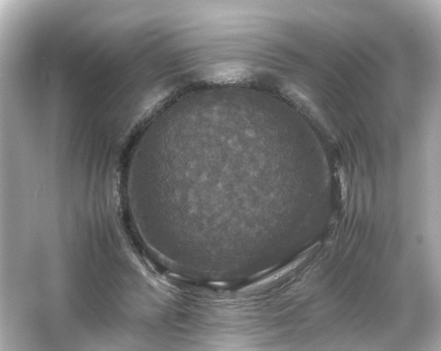 X0000066540400200603201431