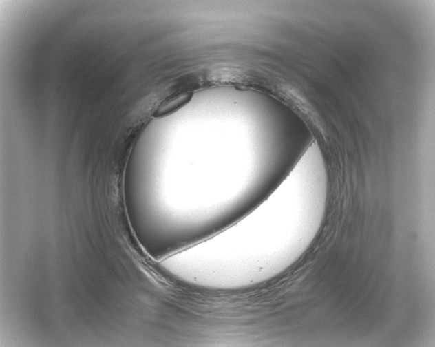 X0000066540401200603201431