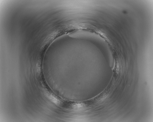 X0000066540402200603201431