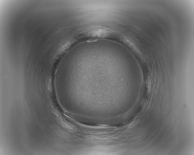 X0000066540403200603201431