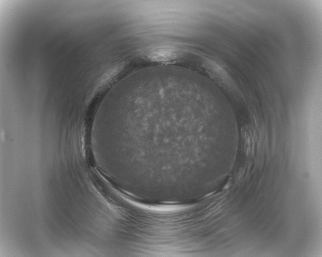 X0000066540404200603201431