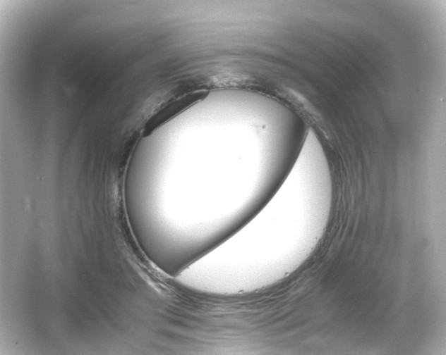 X0000066540405200603201431